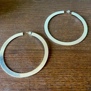 Jenny Bird Large Quinn Hoop Earrings